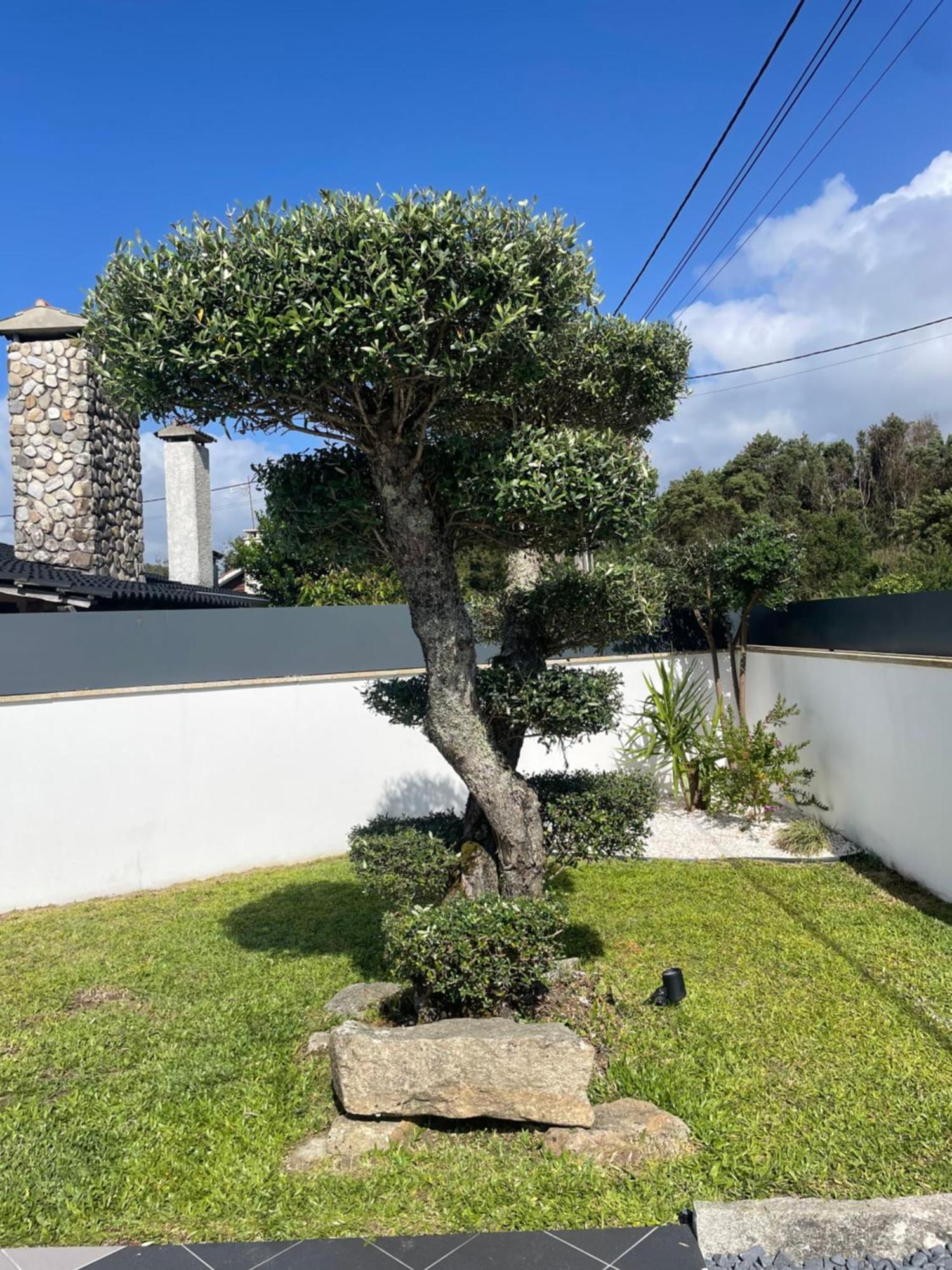 Villa - Ancora - 300 Metres De L'Ocean Vila Praia de Âncora Exterior foto